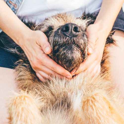 Bio-energetic balancing